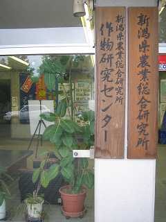 010n.jpg