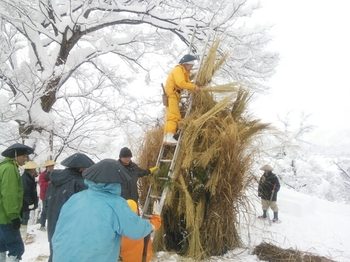 20150115191929065.jpg