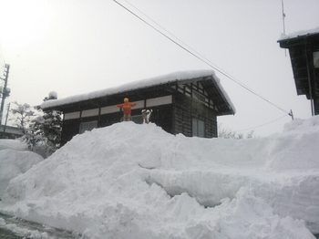 20150115192634241.jpg