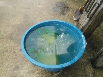 20150408152327362.jpg