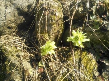 20150409151342806.jpg