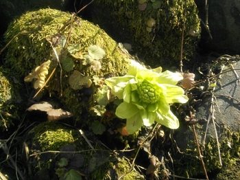 20150409151354391.jpg