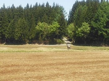 20150511203615263.jpg