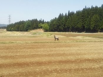 20150511203729976.jpg
