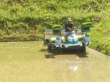 20150525220045495.jpg
