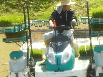 20150525220337922.jpg