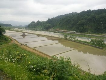 20150606063336543.jpg
