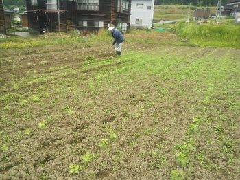 20150619163855103.jpg