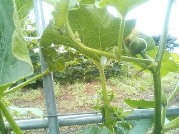 20150629212622646.jpg