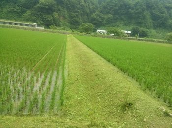 20150709225428552.jpg