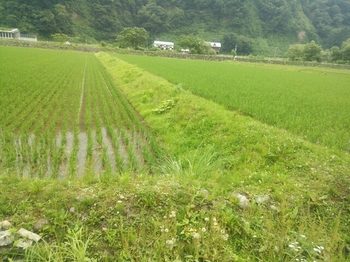 20150709225445177.jpg