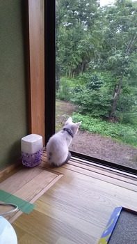 20160706_063357.jpg
