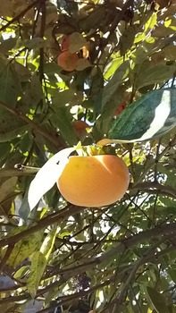 20161105_120221.jpg