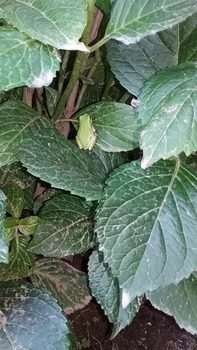 20170710_094851-615c6.jpg