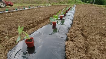 20180613151801985.jpg