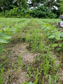 20180703_083727.jpg