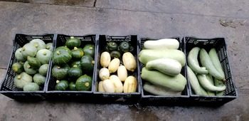20180908_092030.jpg