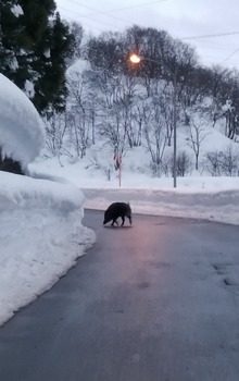 20190106_173201.jpg