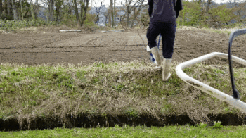 20190424_212505.gif