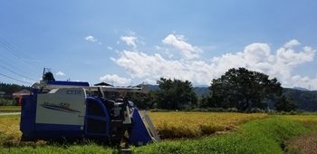 20190906120527535.jpg