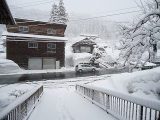 DSC04251.jpg