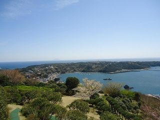 DSC04289.jpg