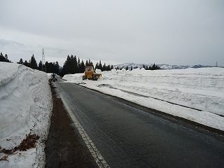 DSC04295.jpg