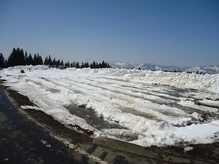 DSC04304.jpg
