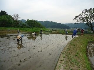 DSC04406.jpg