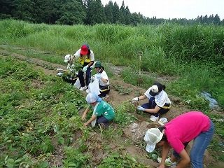 DSC04515.jpg