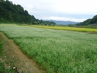 DSC04588.jpg