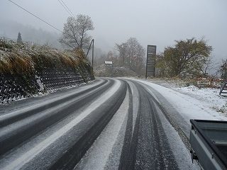 DSC04663.jpg