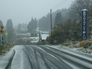 DSC04665.jpg