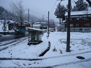 DSC04668.jpg