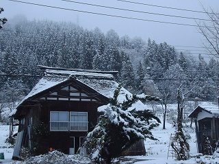 DSC04669.jpg