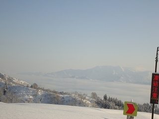 DSC04688.jpg