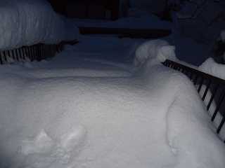 DSC04776.jpg