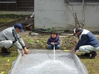 DSC04933.jpg