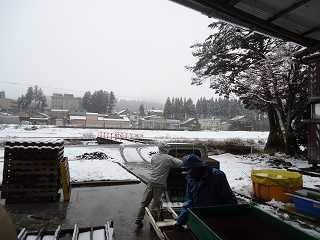 DSC04937.jpg
