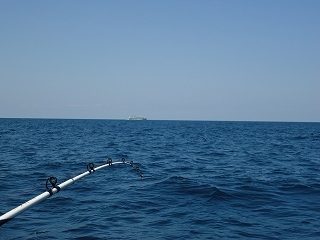 DSC04976.jpg