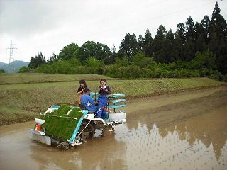 DSCF0061.jpg