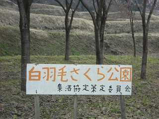 DSCF0505.jpg