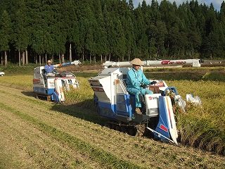 DSCF0552.jpg