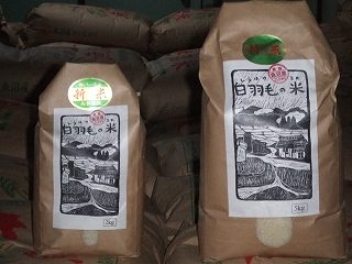 DSCF0557.jpg