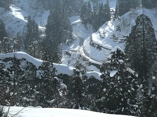 DSCN1072.jpg