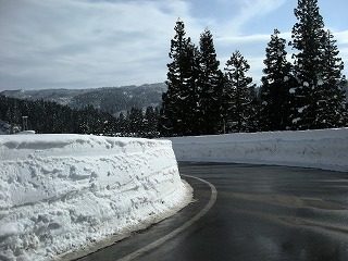 DSCN1073.jpg