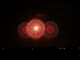 DSCN1993.jpg