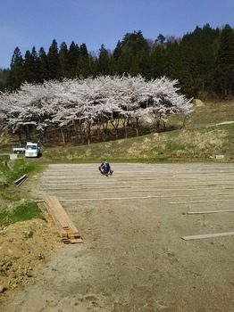 DSC_0316.jpg