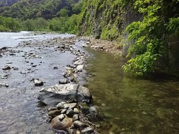 DSC_0411.jpg