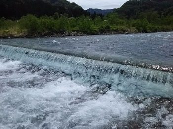 DSC_0414.jpg